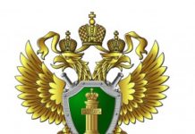 Новые изменения в ПДД