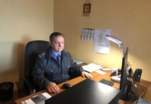 Правильно выбрать саженец 29.11.2018г.№30