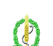 Злободневный вопрос 11.01.2018г.№1