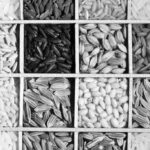 Злаковые культуры 16.08.2018г.№20