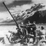 Дагестан и дагестанцы в битве за Кавказ