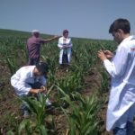 Специалисты обследуют посевы 19.07.2018г.№17