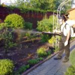 Достоинства и минусы