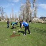 Сторонники озеленения