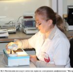 Овес фуражный и обычный