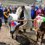 НАВРУЗ — ПРАЗДНИК ВЕСНЫ