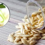 Подготовка семян огурцов