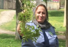 БОРЬБА С КАРАНТИННЫМИ ОБЪЕКТАМИ