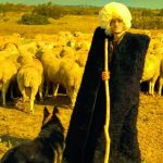 Народное животноводство