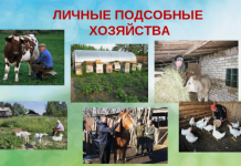 ПРОДАЮ СРОЧНО